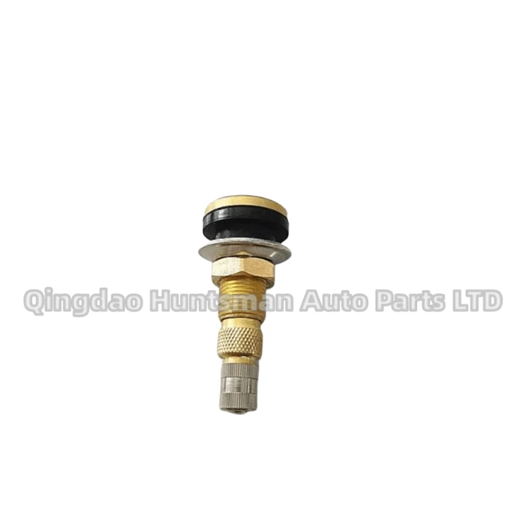 TR618A Tyre Valve